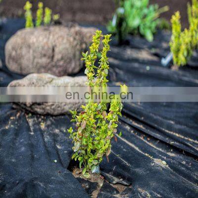 China Factory Manufacture Biodegradable Ground Cover Grass Grow Mat photo-3