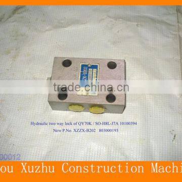 Top Quality Competitive Hydraulic Lock