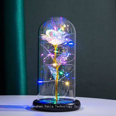 Custom Pink Flower Valentine's Gift LED Rose in Glass Dome With Gift Box Wholesale for Women photo-3