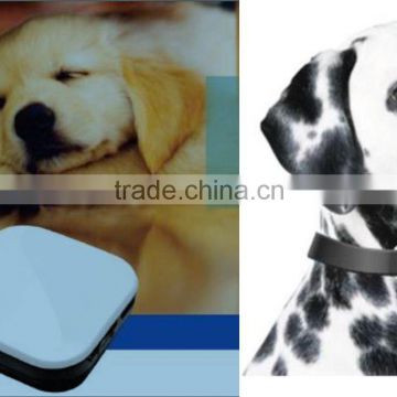 Mini gps tracker dog