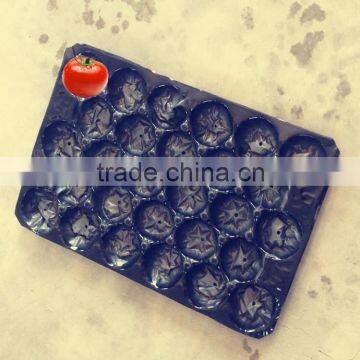 39x59cm Plastic Insert Tray For Round Fruit photo-5