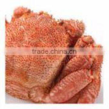 Hot-selling Live Seafood Crab for Buyers , Other Seafoods Also Available photo-3
