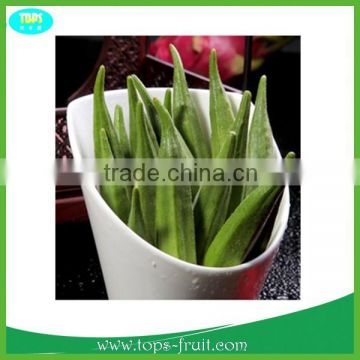 Fresh Organic Okra High quality With Competitive Prices