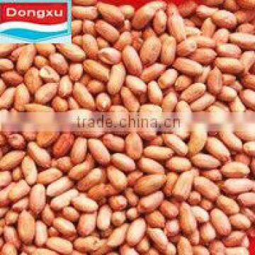 good quality peanut 60/70