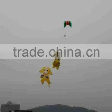 large kites made in china