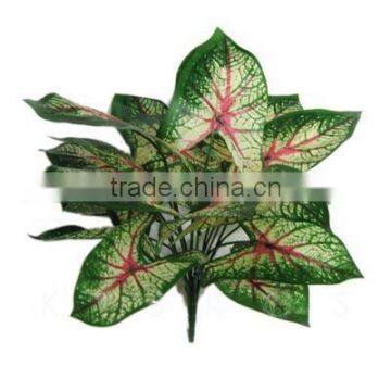 Artificial leaf