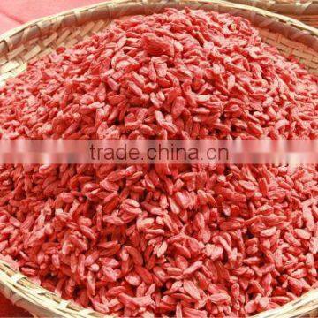 Ningxia bulk goji berries wholesaler