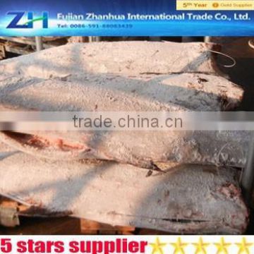 China hot sale seafood sailfish sea frozen supplier