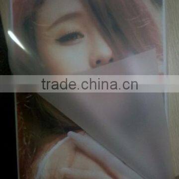 High Quality Transparent PET+EVA Heat Laminating Film photo-2