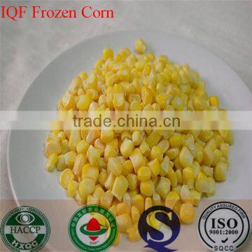 IQF sweet corn kernels super sweet variety price