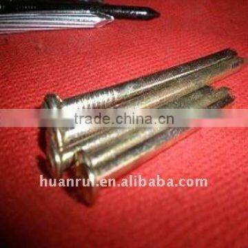 screw pallet nail