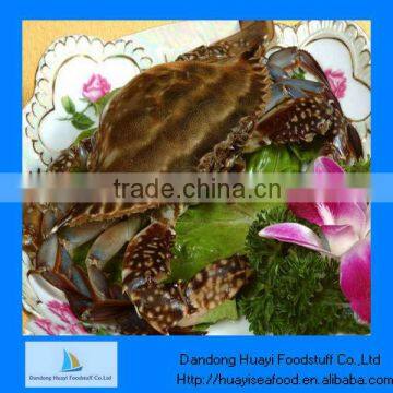 Supply crab competitive price frozen blue swimming crab