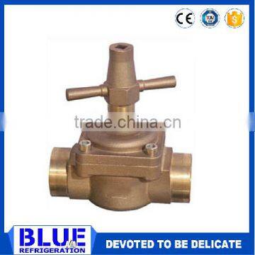 BLR Globe Valve