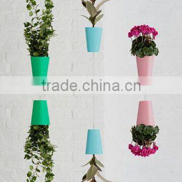 New design Indoor Creative Sky Planter