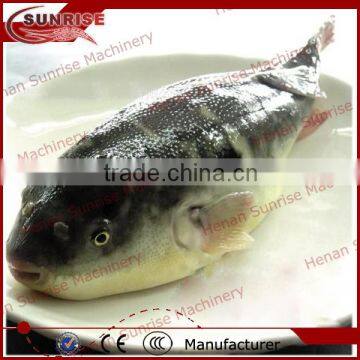 Cheap Price Fish Skinning Scale Removing Machine 0086 13721438675 photo-3