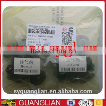 Dongfeng Heavy Truck L375 Diesel Engine Valve Oil Seal 3948578