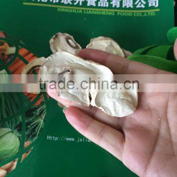 Dehydrated Mushroom Slices (Hot Sale)