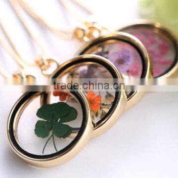 Beautiful Real Flower Necklace for Women Gold Chain Glass Bottle Wishing Pendant Plant Specimens Fancy Necklace photo-4