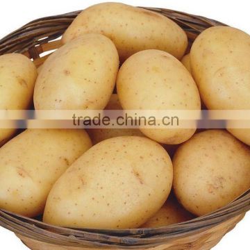 Fresh Potato 2014 crop new crop