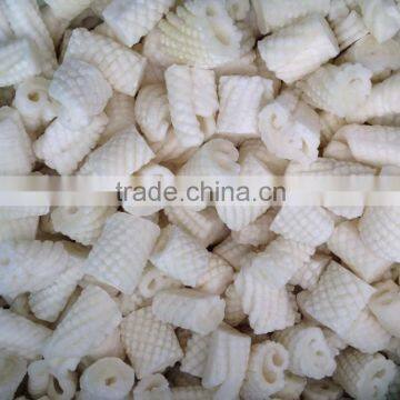 Frozen Squid Carving photo-3
