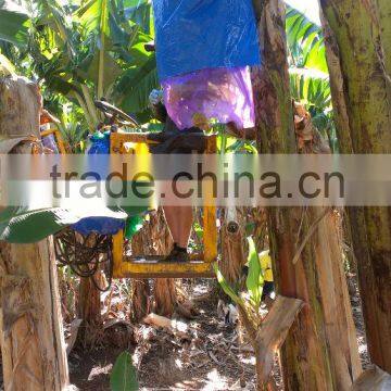 Banana Protection Sleeves