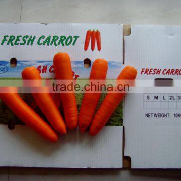 2016 Chinese Fresh Carrot