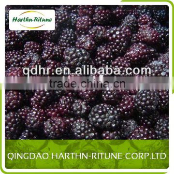 wholesale frozen blackberry from china