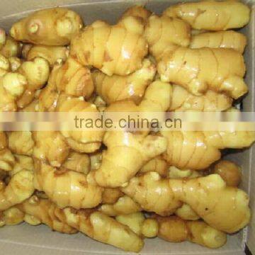 Chinese bulk fresh ginger