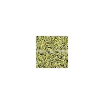 Indian Fennel Seeds photo-4