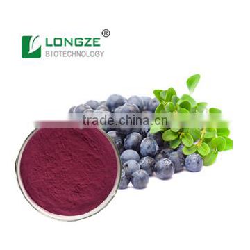 FDA and ISO Certified plant extract manufactuerer supply High-quality Blueberry fruit Powder Vaccinium uliginosum L.