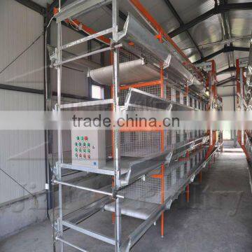 Baby Chicken Cage Factory for Poultry Farm