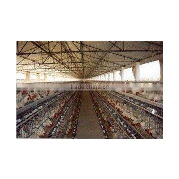 Poultry Cages