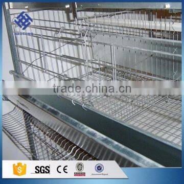 30 Years' Factory Supply Automatic Layer Egg Chicken Cage photo-2