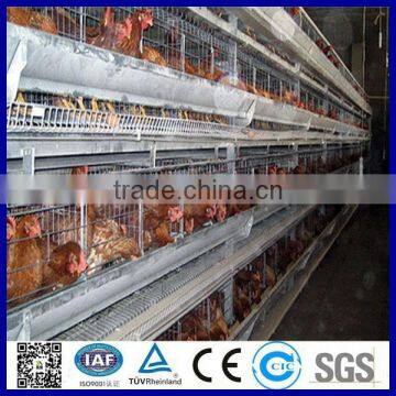 2015 hot sale new type full automatic chicken farm for layer chicken