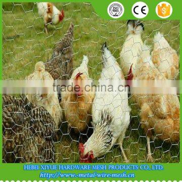 hot galvanized lowest price chicken wire mesh