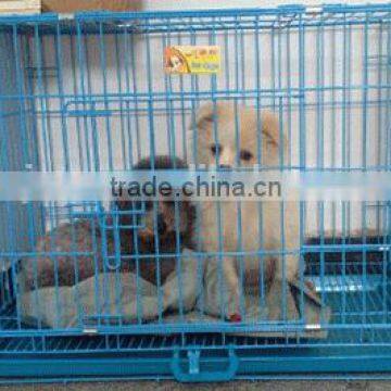 2016 Higt Quality CQX002 Fashion Color Cheap Metal Dog Cage
