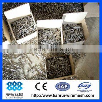 Common Wire Nail/polished Common Nail/bright Common Nail photo-5