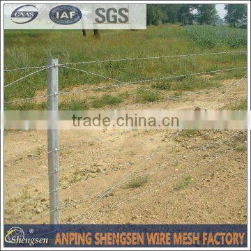 PVC/Galvanized barbed wire roll price fence ISO 9001