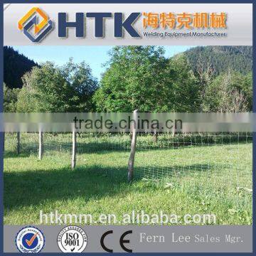 China Supplier Dog Fence Netting(Direct Factory) photo-3