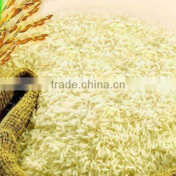 Nutritional Power Processing Line photo-6