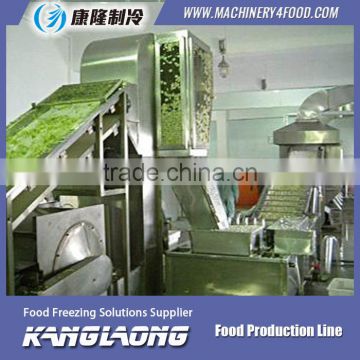 500Kg/H vegetables drying line