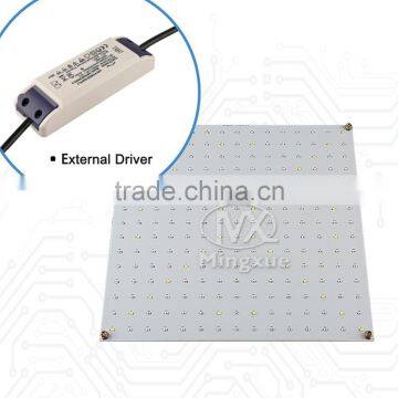 45W LED Grow Light Strawberry Growing