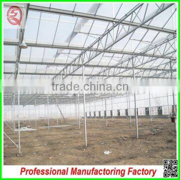 Hot Sale 12m Multi-span Agriculture Plastic Greenhouses for Vegetables photo-3
