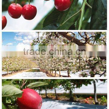 High Quality Silver Reflective Ground Cover Mat photo-4