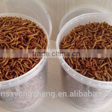 Natural Balance Pet Food Supplies Mealworms photo-5