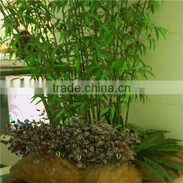 High Imitation Wholesale Artificial Decorative Bamboo,fake Bamboo photo-3