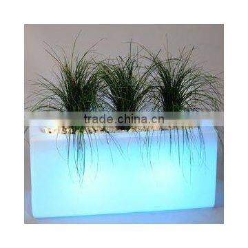 LED LIGHT FLOWER VASE