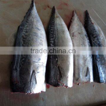 Frozen Bonito HGT photo-4