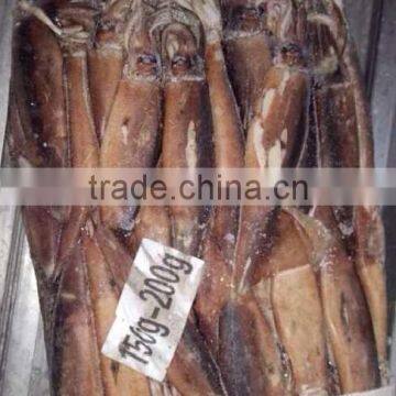 Seafrozen BQF Argentinus Illex Squid photo-3