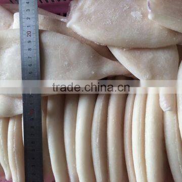 Frozen Squid Tubes With Different Size in Sale photo-2